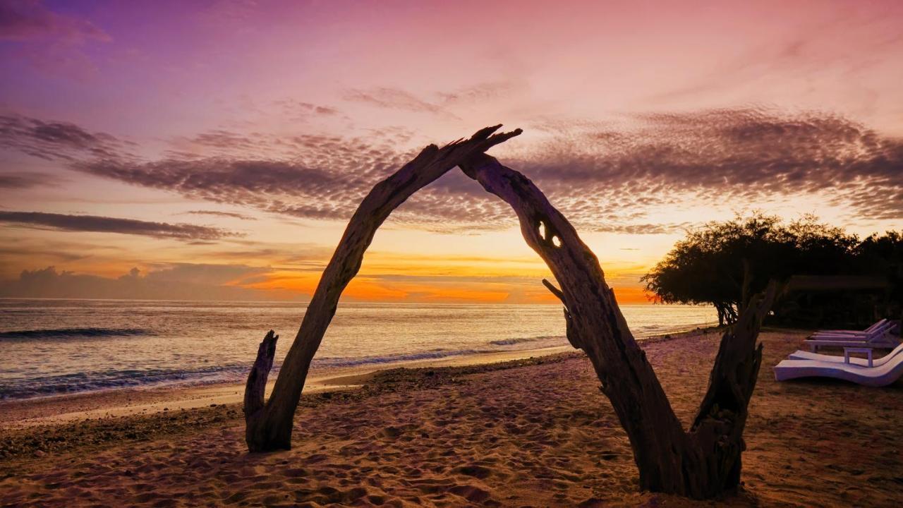 Gili Eco Villas Quần đảo Gili Ngoại thất bức ảnh